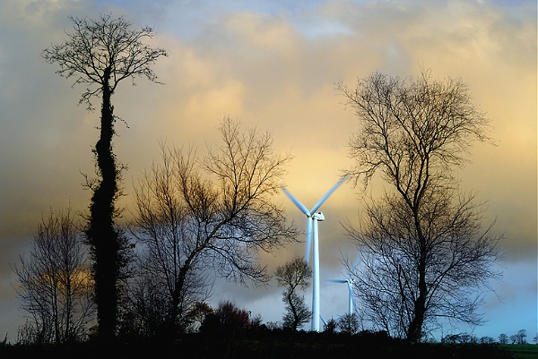 Paysage 27_11_09 n04.jpg
